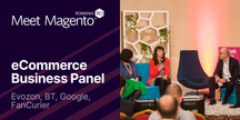 eCommerce Business Panel - Evozon, BT, Google, FanCurier - 